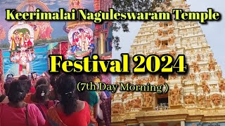 Keerimalai Naguleswaram Temple Festival 7th Day Morning 01032024In Jaffna Srilanka [upl. by Eaton]