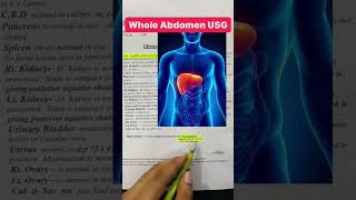 whole abdominal ucgusg whole abdomenwhole abdominal ultrasound procedureecgliverusg liverusg [upl. by Darwin833]