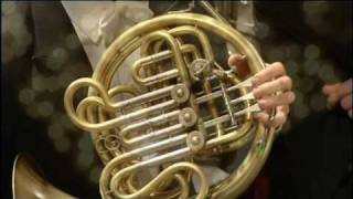 Tchaikovskys 5th Symphony french horn solo Danilo Stagni [upl. by Vastha]