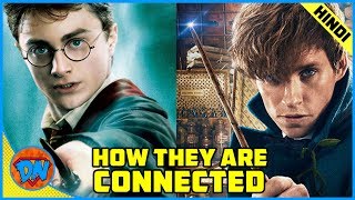 How Harry Potter and Fantastic Beasts Movies are Connected  Explained in Hindi [upl. by Ury425]