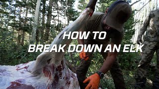 How to Field Dress an Elk Gutless Method  Hoyt Hunting Tips [upl. by Bathsheeb]