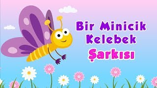 Bir Minicik Kelebek Şarkısı [upl. by Tebzil491]