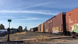 CN Train Gilman IL 102418 [upl. by Enilarak]