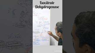 Isocitrate Dehydrogenase TCA Cycle II Step [upl. by Aicert]