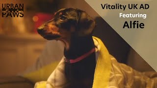 Vitality UK advert featuring Alfie [upl. by Sankey]