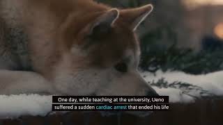 Hachiko The Incredibly Touching Story of Loyalty and Friendship  Hachiko The Dog Tale  Biography [upl. by Linoel926]