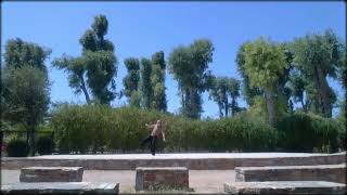 Siu Lin Whang Kune  Eagle Claw Kung Fu [upl. by Gader]