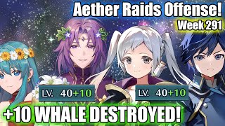 10 WHALE VLYON amp YFROBIN DESTROYED  Aether Raids  Week 291 FEH [upl. by Sarena]