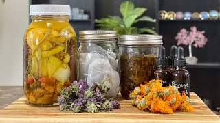 DIY Herbal Remedies Powerful Medicinal Recipes to Try at Home [upl. by Wylma]