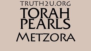 Torah Pearls  S1  Metzora  Leper [upl. by Dahsraf]