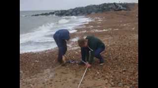 Reculver Longshore drift Measurements [upl. by Letram277]