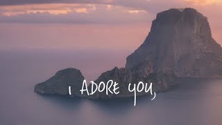 HUGEL x Topic x Arash feat Daecolm  I Adore You Visualizer [upl. by Sibley]