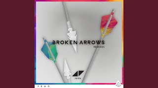 Broken Arrows Didrick Remix [upl. by Sonafets]