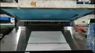 Automatic Flat Screen Printing Machine [upl. by Ailhad431]