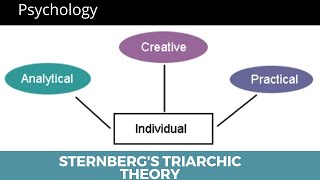 Sternberg Triarchic theory of Intelligence  Psychology  in Urdu\Hindi [upl. by Andromada740]