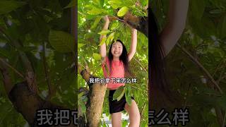 ফল পাড়তে গিয়ে গাছ থেকে পড়ে গেলামfruit [upl. by Oderfliw]