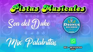 SON DEL DUKE  MIX PALABRITAS  KARAOKE DEMO [upl. by Nyletak]