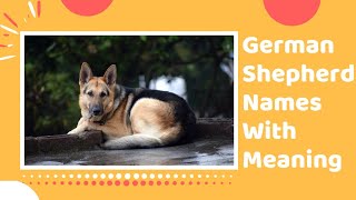 20 Top German Shepherd Dog Names of 2020 With Meaning  Unique Puppy Names [upl. by Coleman]