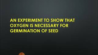 Experiment to prove that oxygen is necessary for Germination of seedusing alkaline pyrogallic acid [upl. by Ellerey]