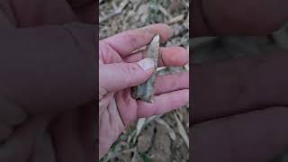 Heavily Beveled Blade  Projectile Point Dalton arrowhead [upl. by Ahseenyt]