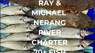 Nerang river whiting charter with Ray amp Michael 70 fish nice feed of whiting and flathead [upl. by Nawk]