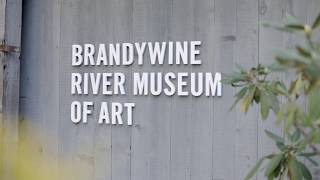 Visit the Brandywine River Museum of Art [upl. by Ymmot938]