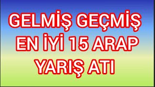 GELMİŞ GEÇMİŞ EN İYİ 15 ARAP YARIŞ ATI [upl. by Jerrie280]