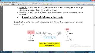 Métabolisme des glucides 2 [upl. by Anatnom819]