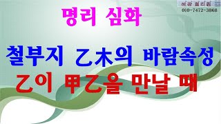 명리심화철부지 乙木의 바람속성乙木이 甲乙을 볼때 [upl. by Rednasyl123]