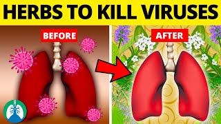 Top 10 Herbs for Lung Health Clearing Mucus COPD and Killing Viruses [upl. by Enahpad]