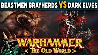 Beastmen Brayherds vs Dark Elves Warhammer The Old World Battle Report [upl. by Assele]