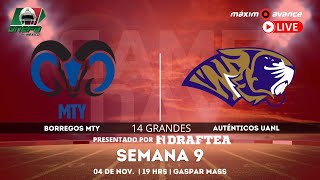 MÁXIMO AVANCE EN VIVO BORREGOS MONTERREY vs AUTÉNTICOS TIGRES  Liga Mayor ONEFA [upl. by Mayeda616]