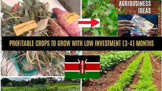 Profitable low investment Crops to grow Agribusiness ideas [upl. by Aenotna]