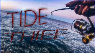 SLASH TIDE THIEF 521 y PATCHINKO 100  LIGHT SPINNING CANARIAS  TOPWATER FISHING youtubeshorts [upl. by Gram]