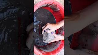 ASMR Edits Oddly Satisfying ASMR Crumbling Short asmrShortsASMRCrumbling A532 Asmr As dirt [upl. by Emylee657]