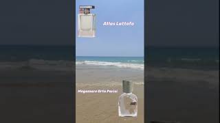 ATLAS LATTAFA 👉 MEGAMARE ORTO PARISI ortoparisi lattafa equivalenciadearoma clonesdeperfumes [upl. by Tyre]