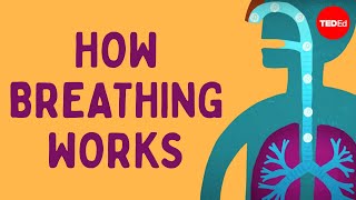 How breathing works  Nirvair Kaur [upl. by Herbie]