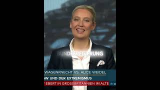 Alice Weidel über Asylgesetz bundestag politikdeutschland politik nachrichten [upl. by Corron]