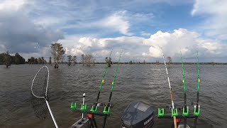 Fishing The Congaree Wateree And Santee Rivers [upl. by Mcgray]