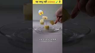 कुछ कमाल के 😯🧪 science experiment scinceexperimentshorts [upl. by Siraved863]