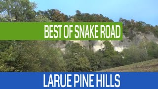 Best of Snake Road Fall Migration 2017  Shawnee National Forest [upl. by Haleemak777]