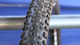 2012 Schwalbe  650b Nobby Nic Racing Ralph 29er Hans Dampf Mountain Bike Tires [upl. by Towrey]