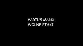 varius manx wolne ptakiwmv [upl. by Attinahs]