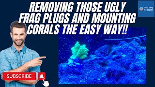 Mounting Corals in Your Aquarium without the Ugly Frag Plugs [upl. by Sargent]