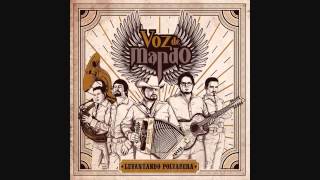 Voz de Mando Levantando Polvadera Cover Song with Lyrics [upl. by Nosnirb]