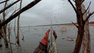 RESERVOIR MALLARDS Limited Out Public Land Duck Hunting [upl. by Gildus753]