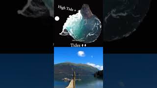 Physics High amp low Tides  Animation Explain shorts physics animation science viral tranding [upl. by Dunlavy]