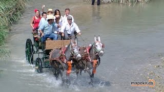 ROMERIA ROCIERA en ARCHENA en honor a la Virgen del Rocío [upl. by Emmet]