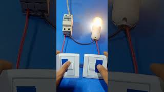 👷⚡2 ways switch wiring diagram practice diy wirring switchwiring electrical shorts asmr tips [upl. by Noni]