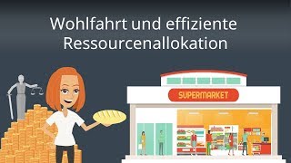 Ökonomische Wohlfahrt und Ressourcenallokation  Wohlfahrtstheorie einfach erklärt [upl. by Adora]